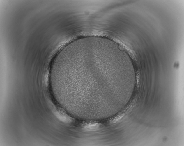 X0000099500206200805221408