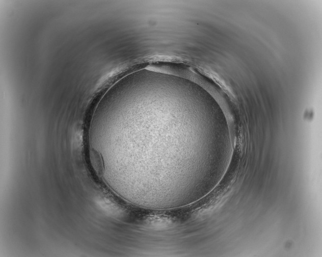 X0000099500207200805221408