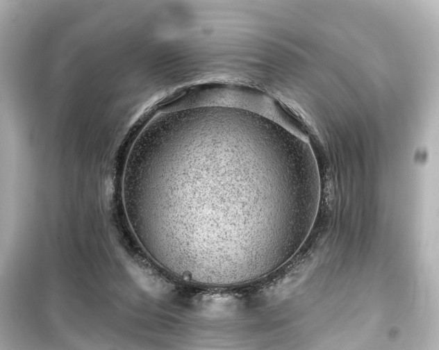 X0000099500208200805221408