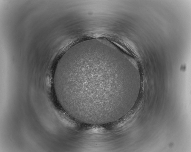 X0000099500210200805221408