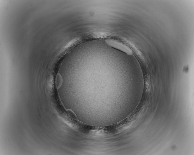 X0000099500211200805221408