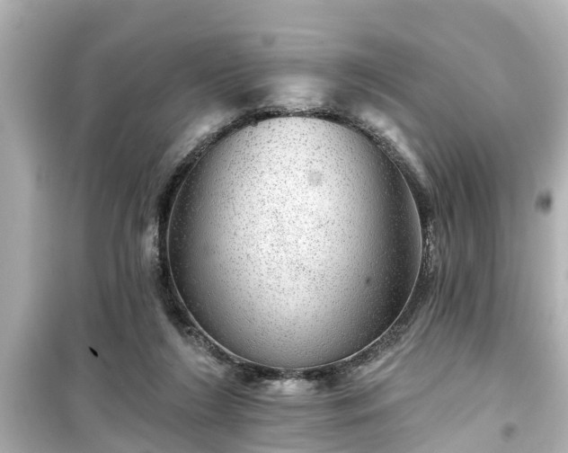 X0000099500212200805221408