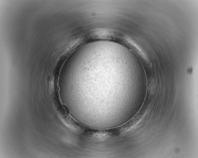 X0000099500213200805221408