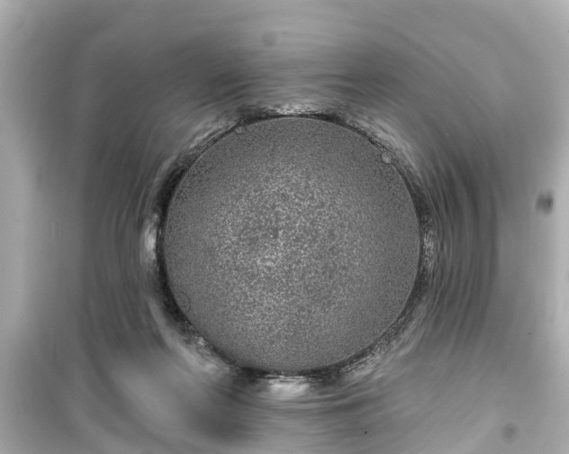 X0000099500214200805221408