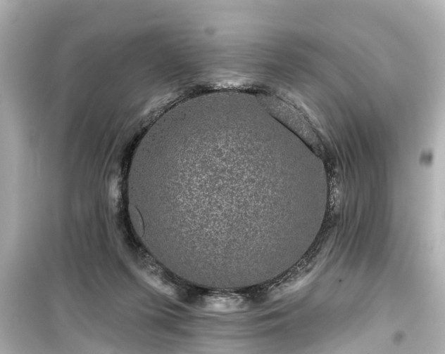X0000099500215200805221408