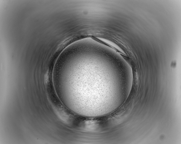 X0000099500216200805221408