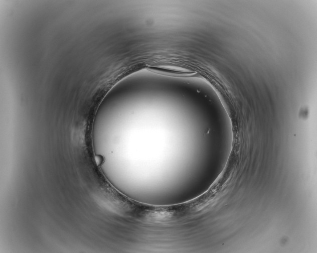 X0000099500217200805221408