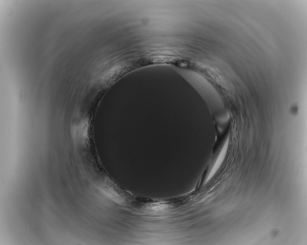X0000099500219200805221408