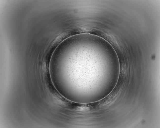 X0000099500220200805221408