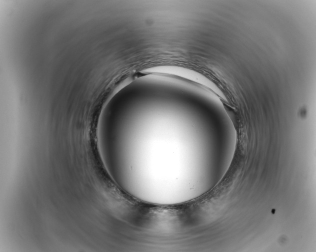 X0000099500221200805221408