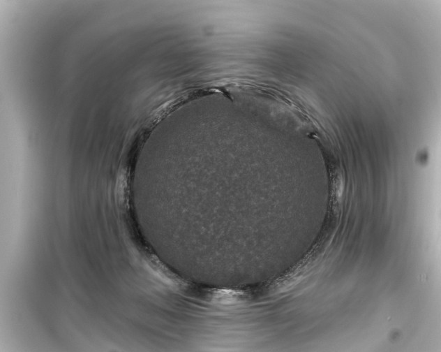 X0000099500222200805221408