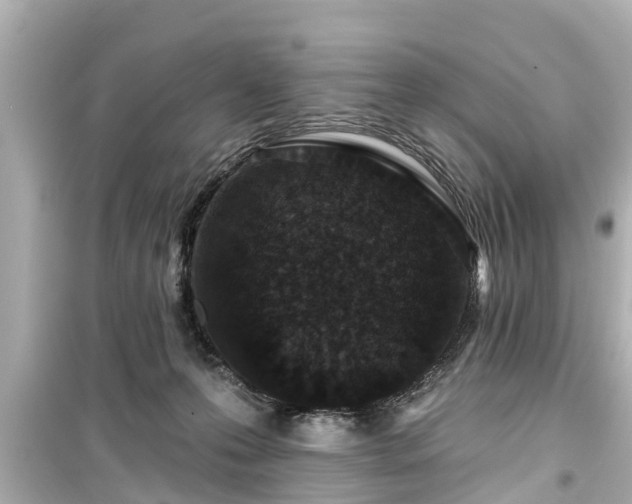 X0000099500223200805221408