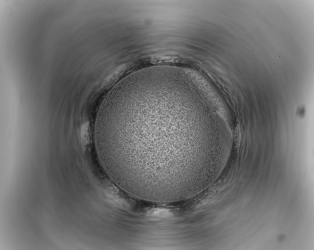 X0000099500224200805221408