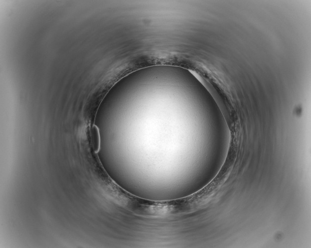 X0000099500225200805221408