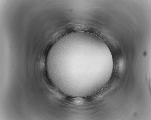 X0000099500226200805221408