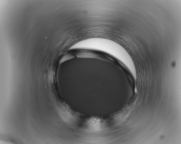 X0000099500227200805221408