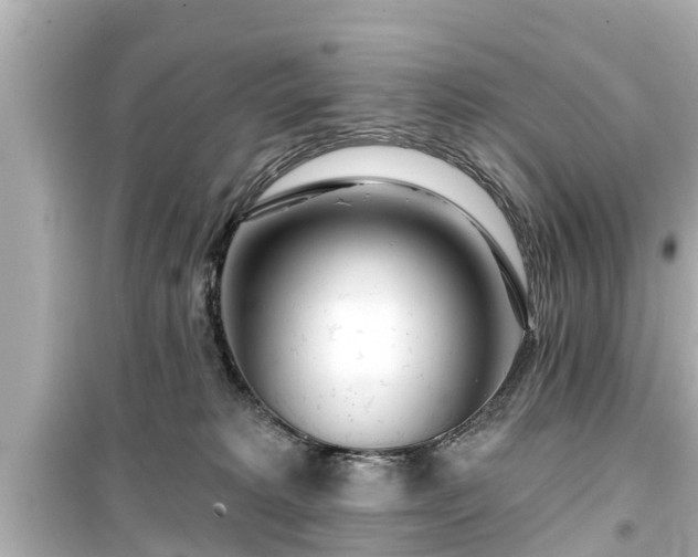 X0000099500229200805221408