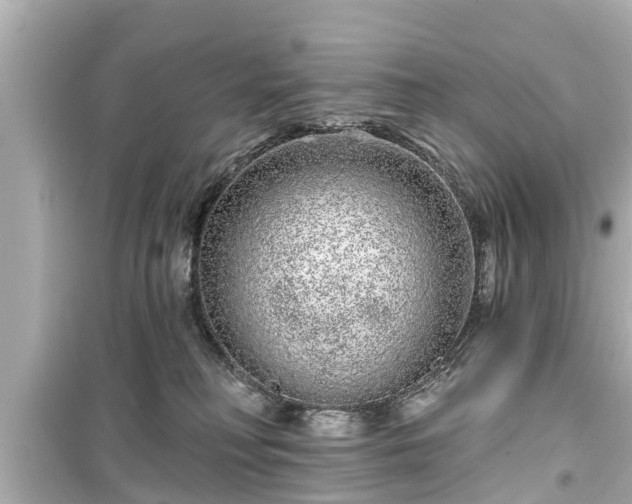 X0000099500230200805221408