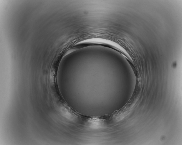 X0000099500231200805221408