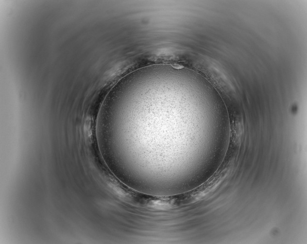X0000099500232200805221408