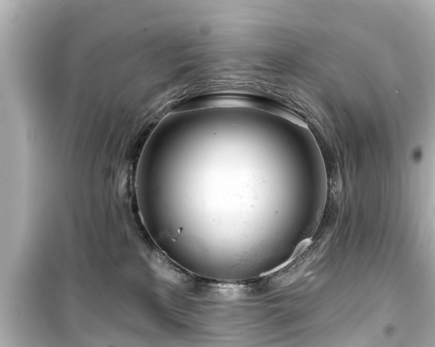 X0000099500233200805221407
