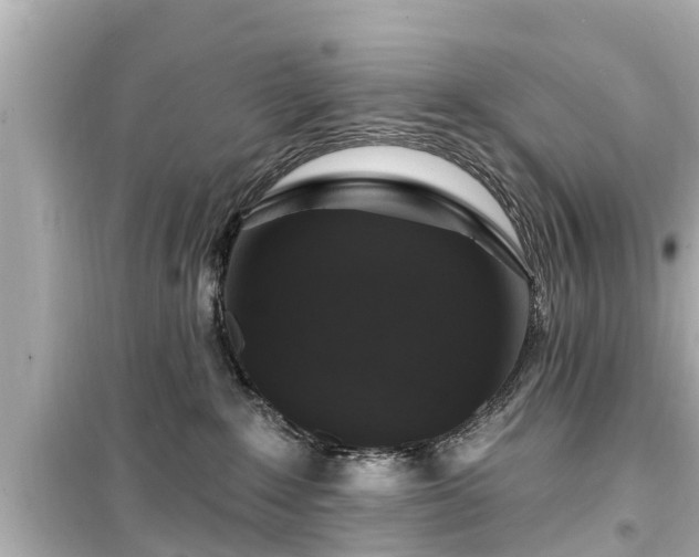 X0000099500235200805221407