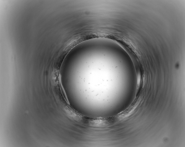X0000099500237200805221407