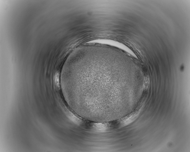 X0000099500238200805221407
