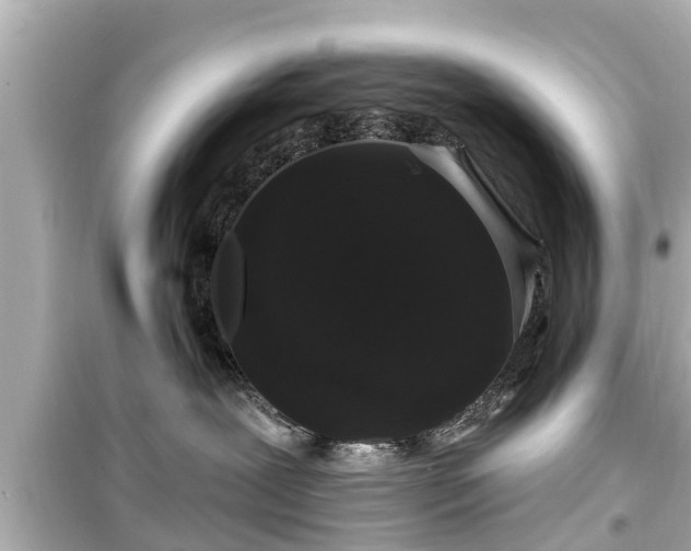 X0000099500239200805221407