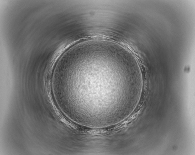 X0000099500241200805221407
