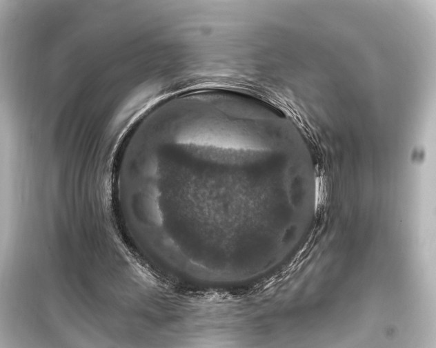 X0000099500243200805221407
