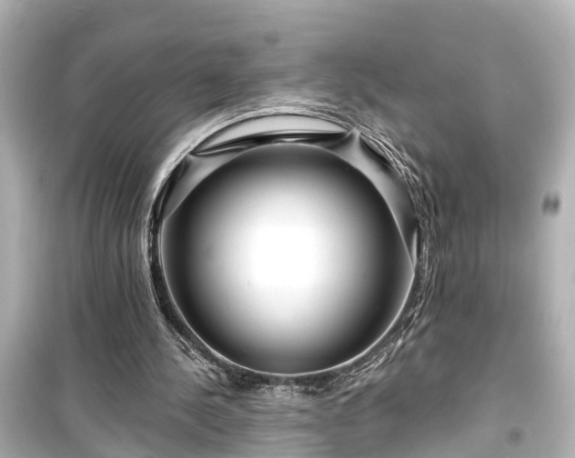 X0000099500244200805221407