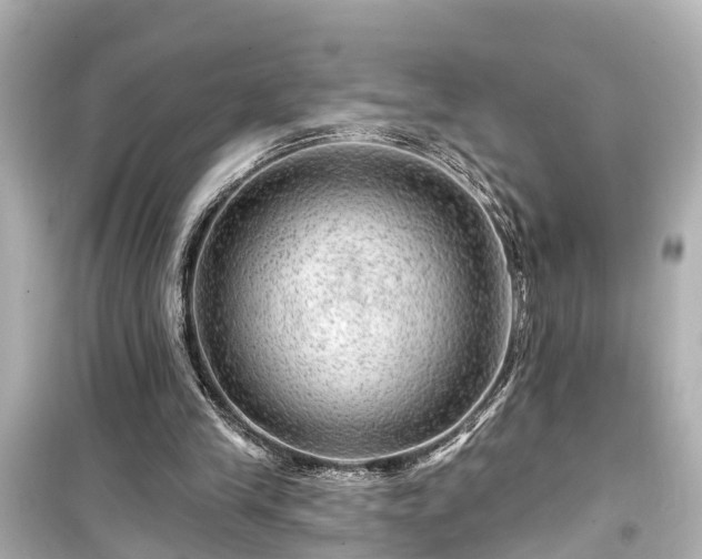 X0000099500245200805221407