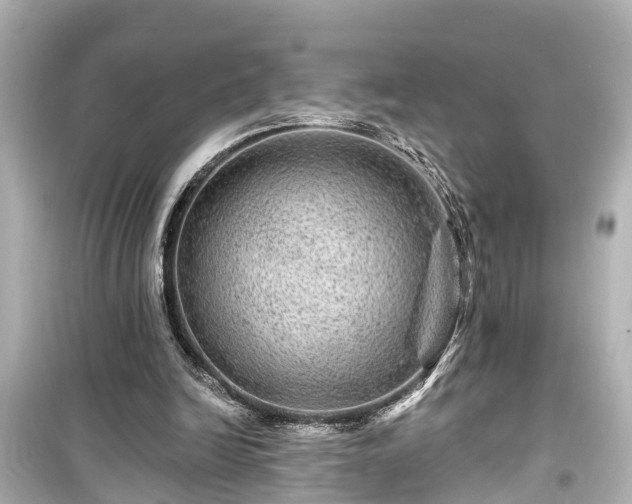 X0000099500246200805221407