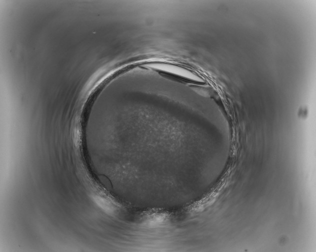X0000099500247200805221407