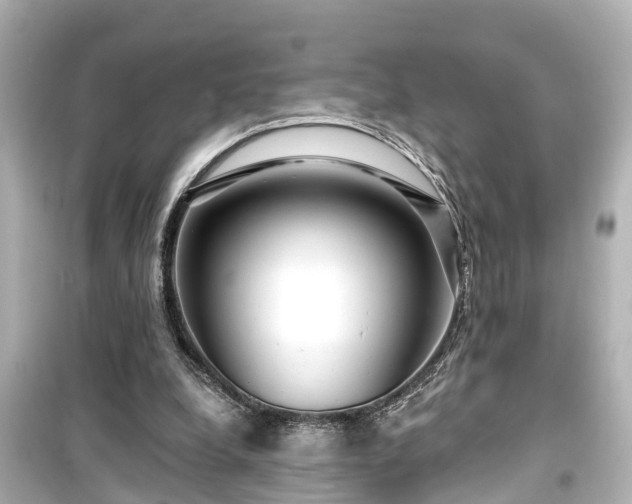 X0000099500248200805221407
