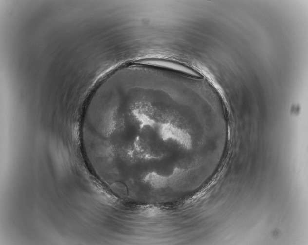 X0000099500249200805221407