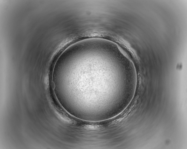 X0000099500250200805221407