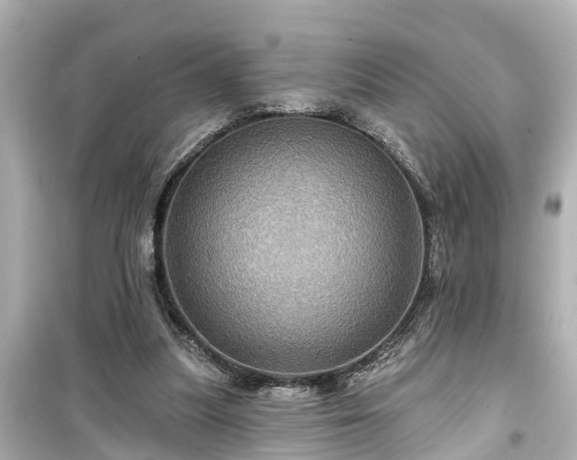 X0000099500251200805221407