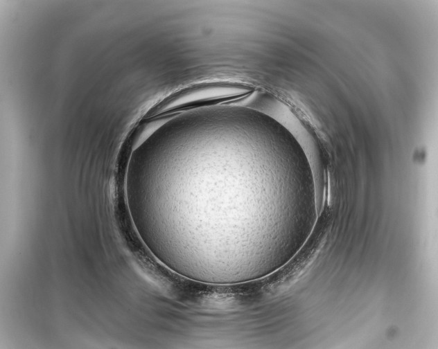 X0000099500252200805221407