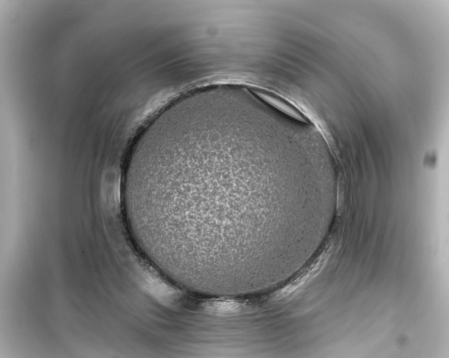 X0000099500253200805221407