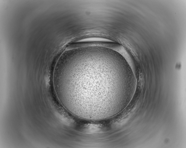 X0000099500255200805221407