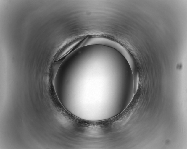 X0000099500256200805221407