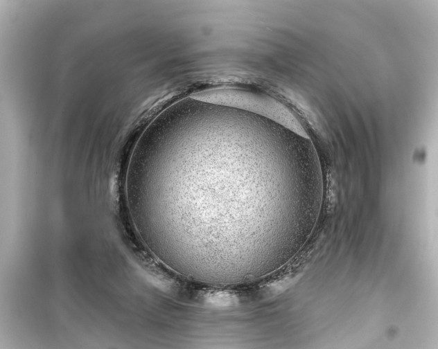 X0000099500258200805221407