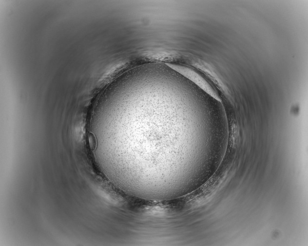 X0000099500259200805221407