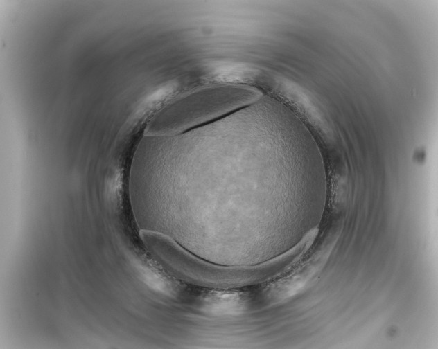 X0000099500260200805221407