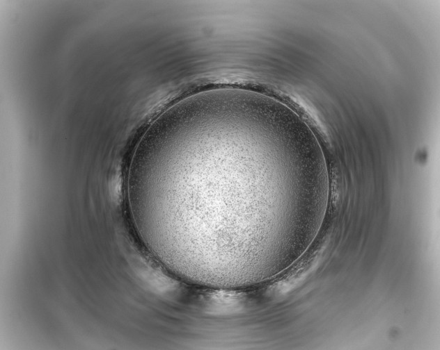 X0000099500261200805221407