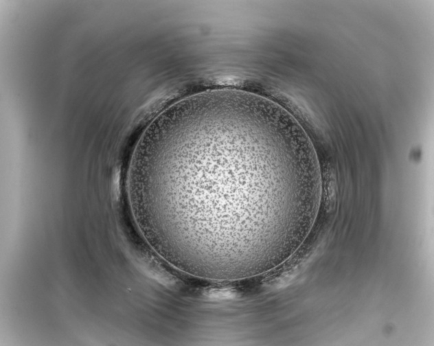 X0000099500262200805221407