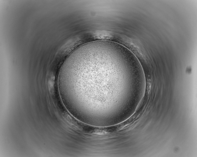 X0000099500263200805221407