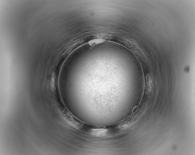 X0000099500266200805221407